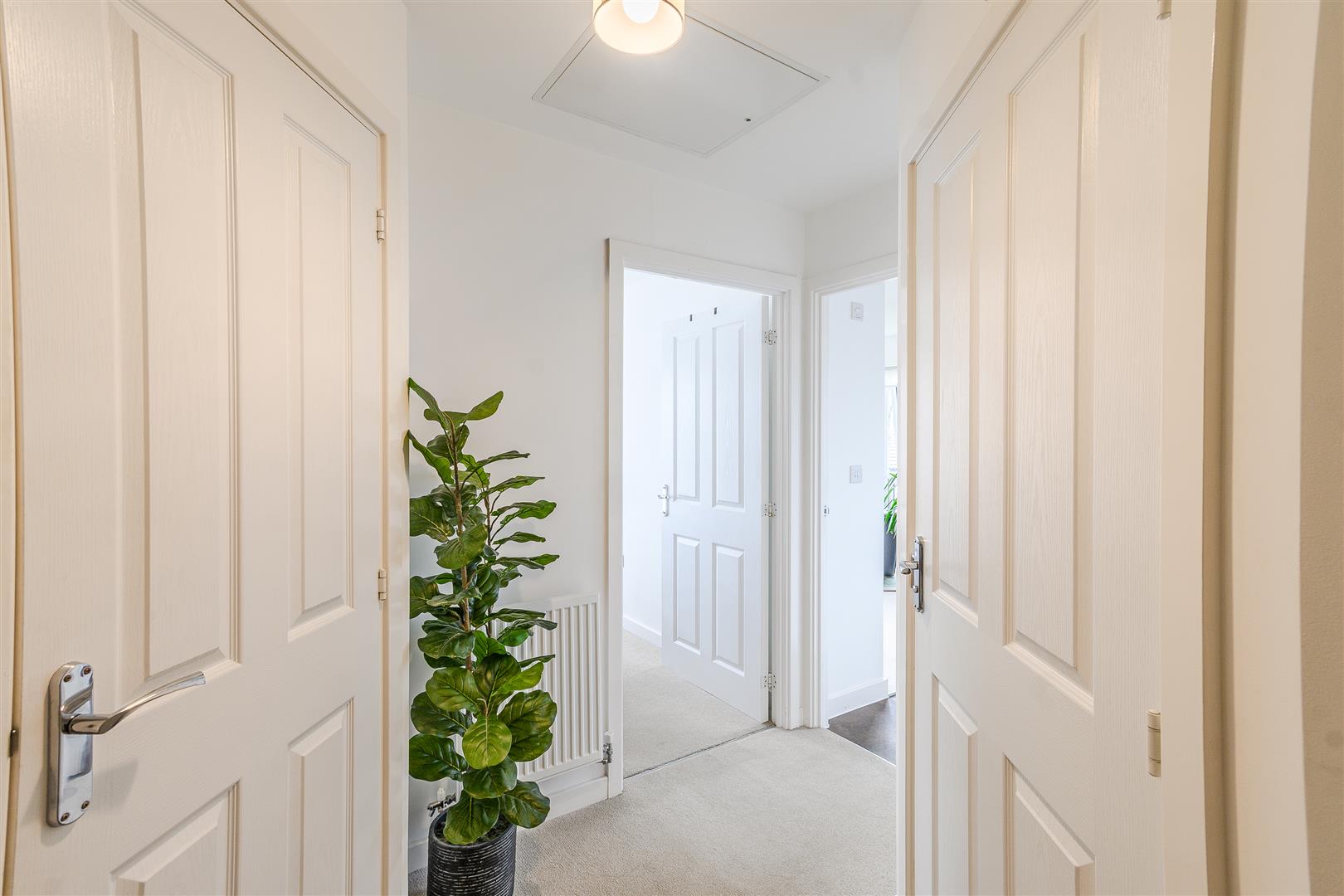 Flat Ffordd y Dociau in Barry