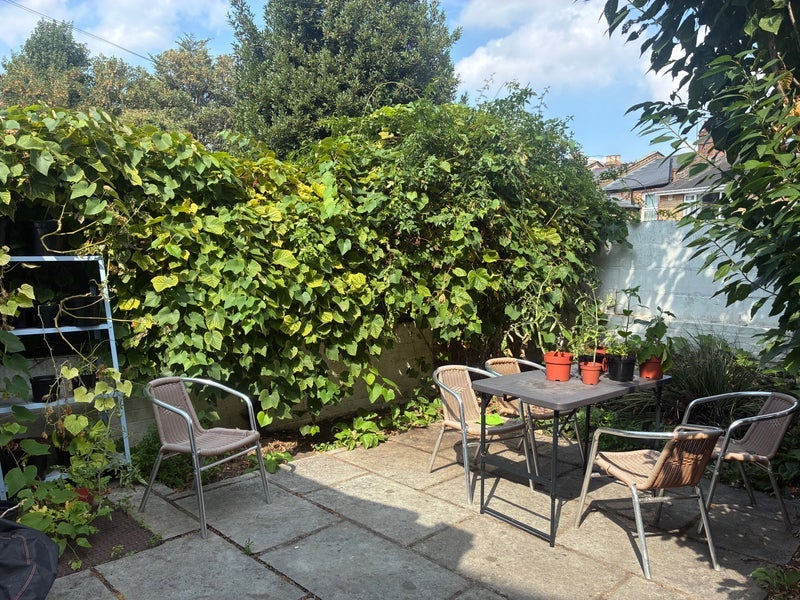 Room Hollydale Road in Greater London