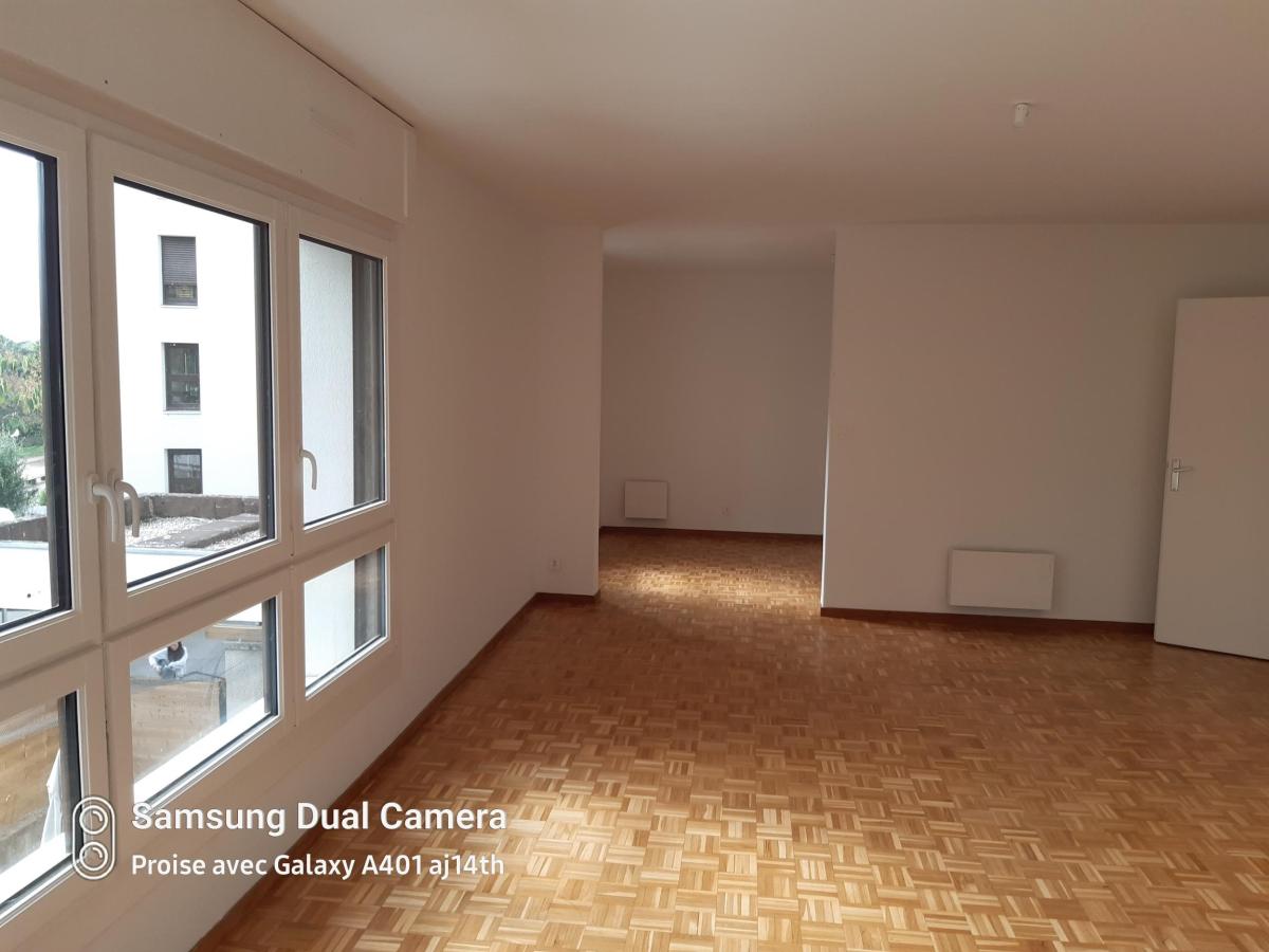 Flat Rue de Saint-Cyr / Rue Joseph Foliet in Lyon