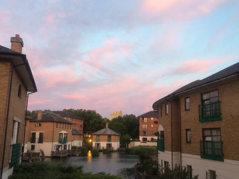 Room Plover Way in Greater London