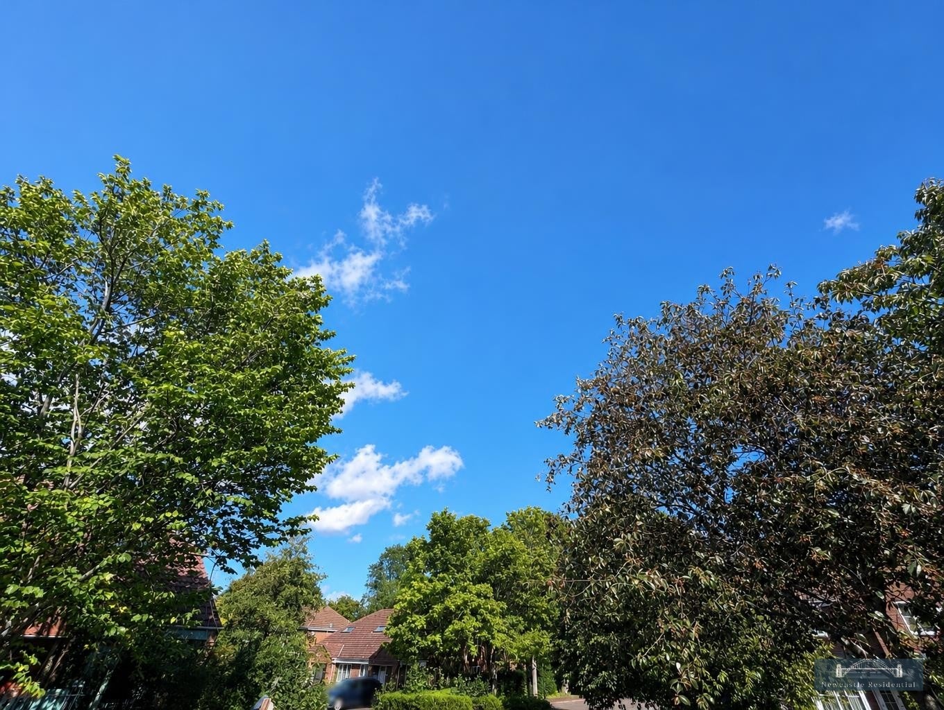 Flat Middlewood Park in Newcastle upon Tyne