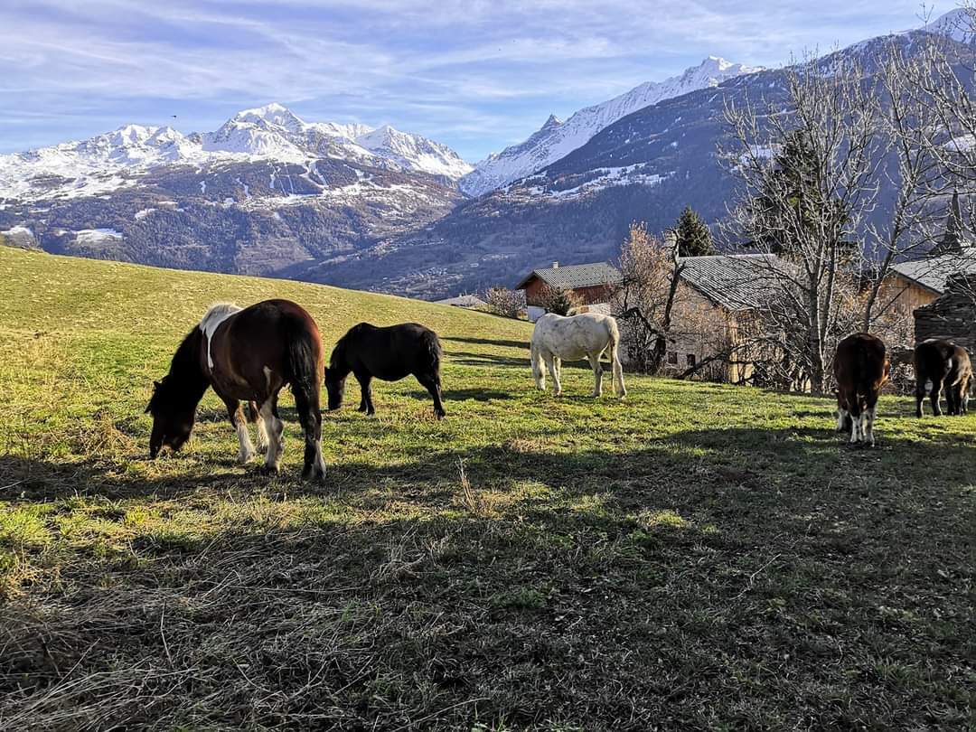 Chambre Route de la Leissière à La Plagne-Tarentaise