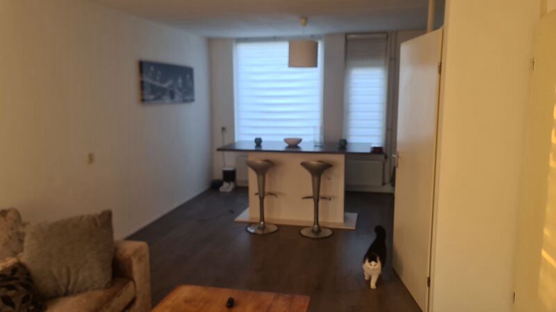 Flat Hanendijk in Budel