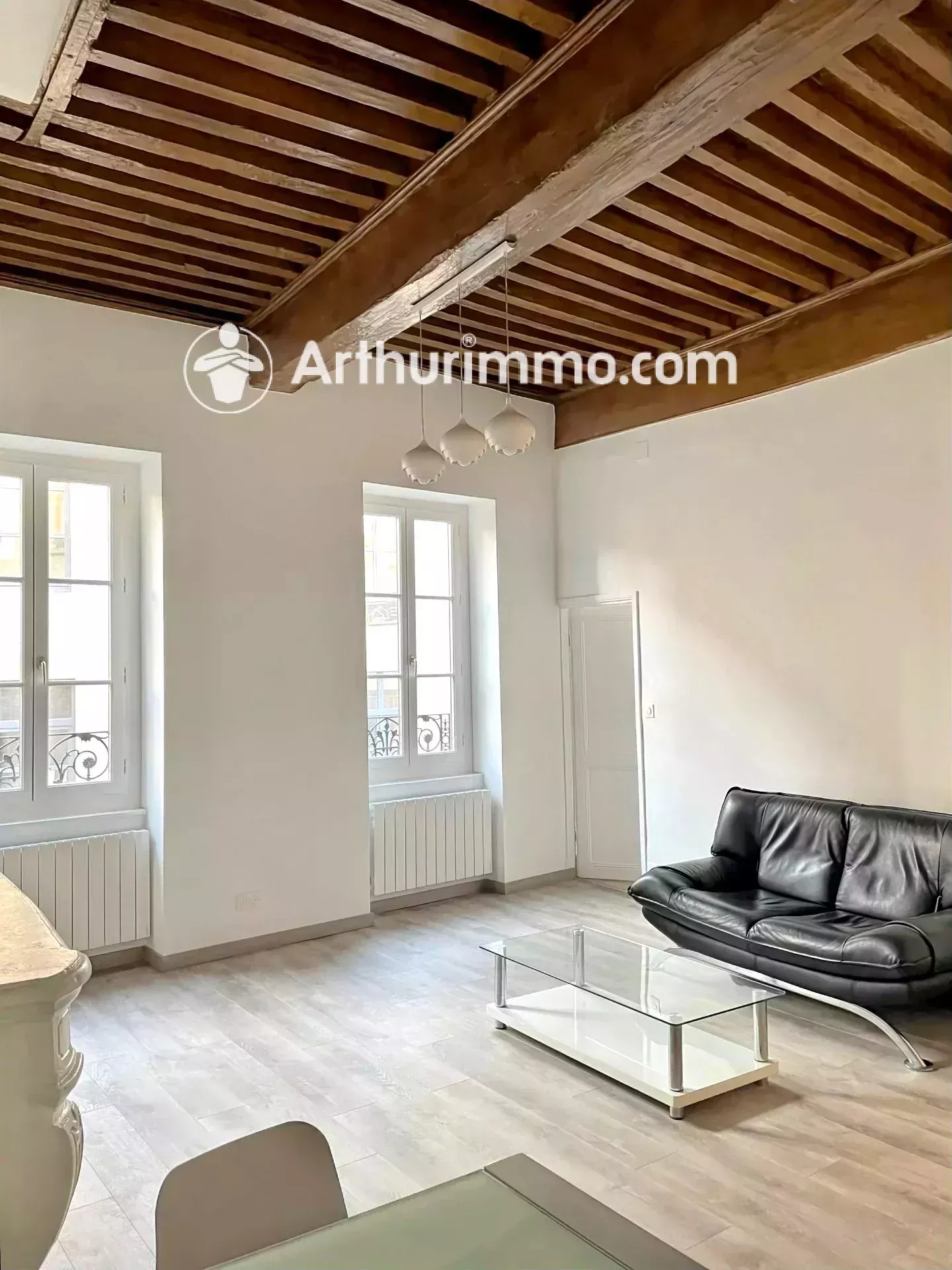Appartement Passerelle de Trévoux à Quincieux