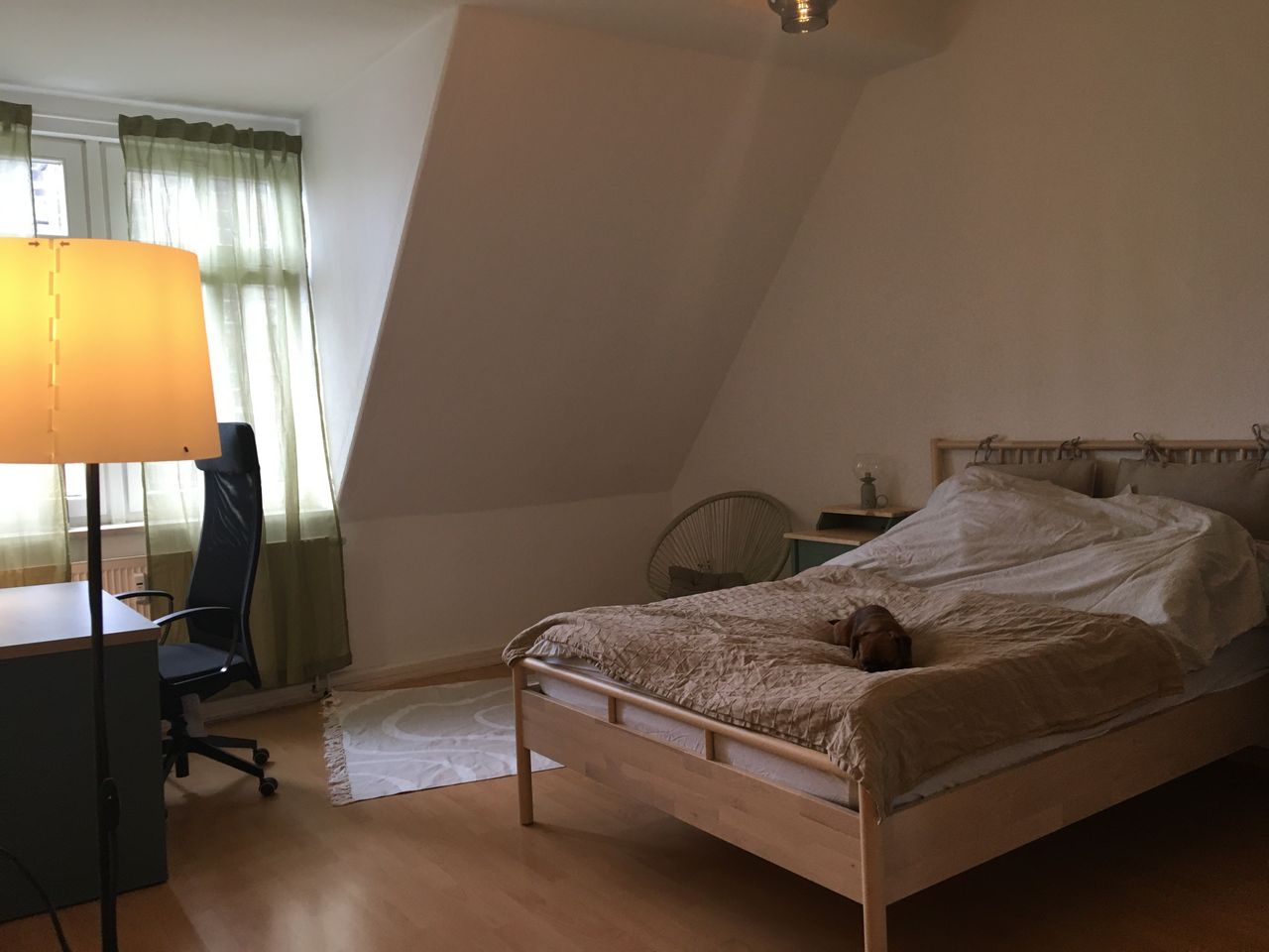 Wohnung Riemannstraße in Leipzig