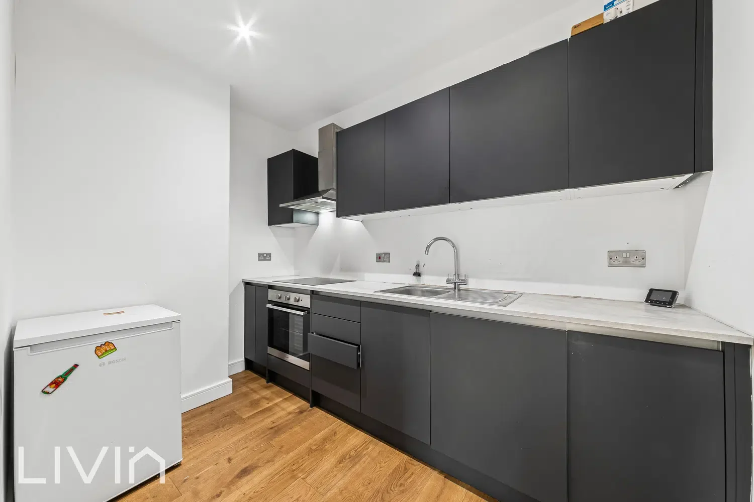 Flat Portland Road in Greater London