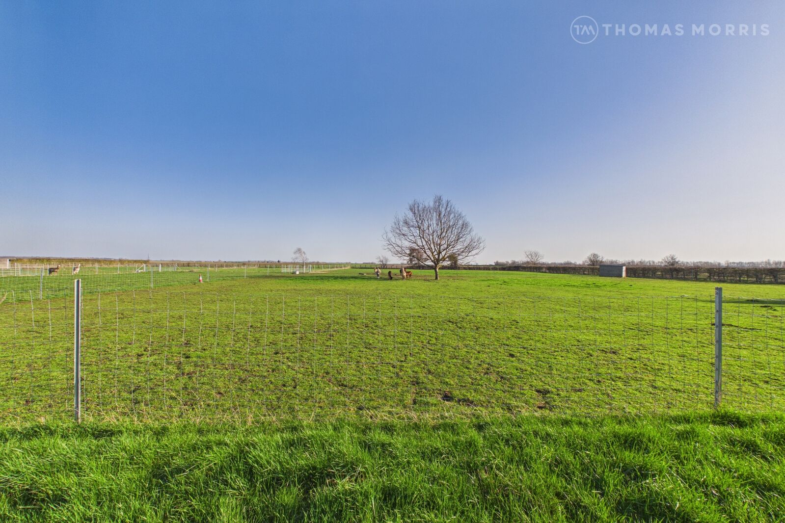 House Chatteris Road in Huntingdonshire