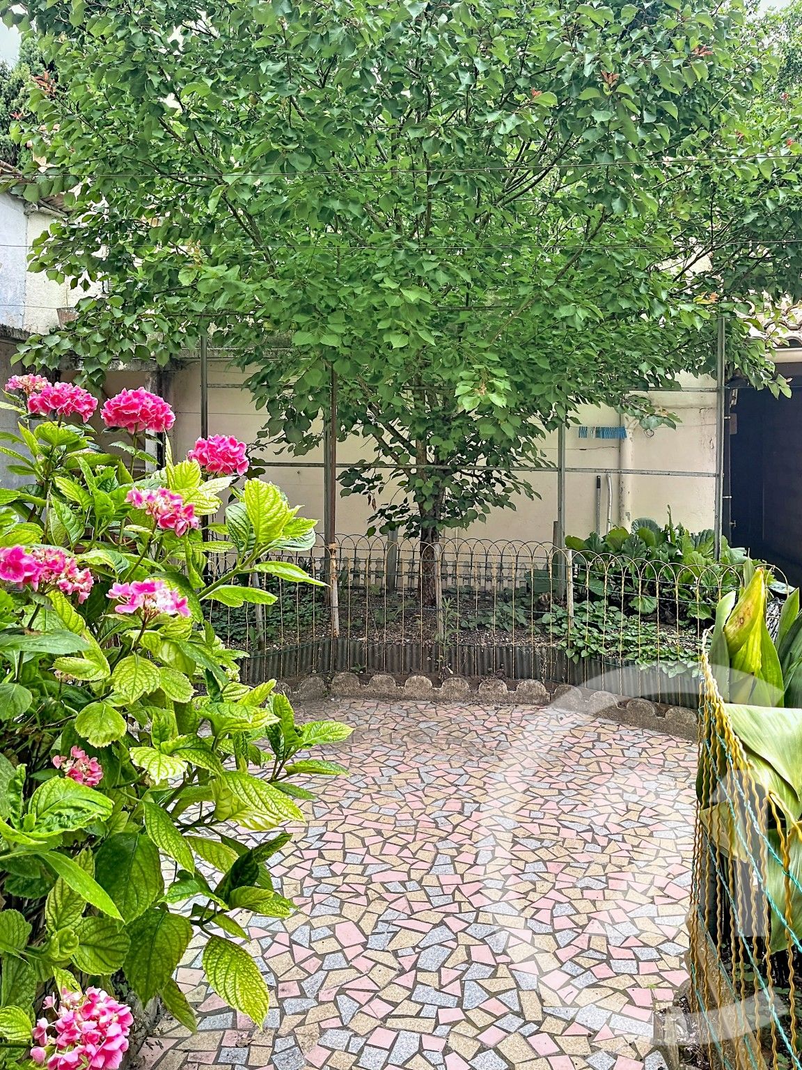 Maison Rue Dominique Clos à Toulouse