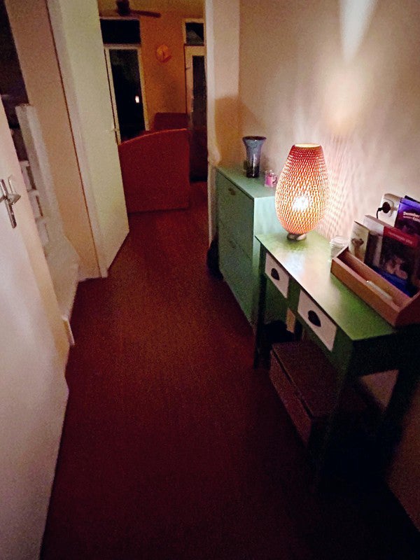 Appartement Harlingenstraat in Amersfoort