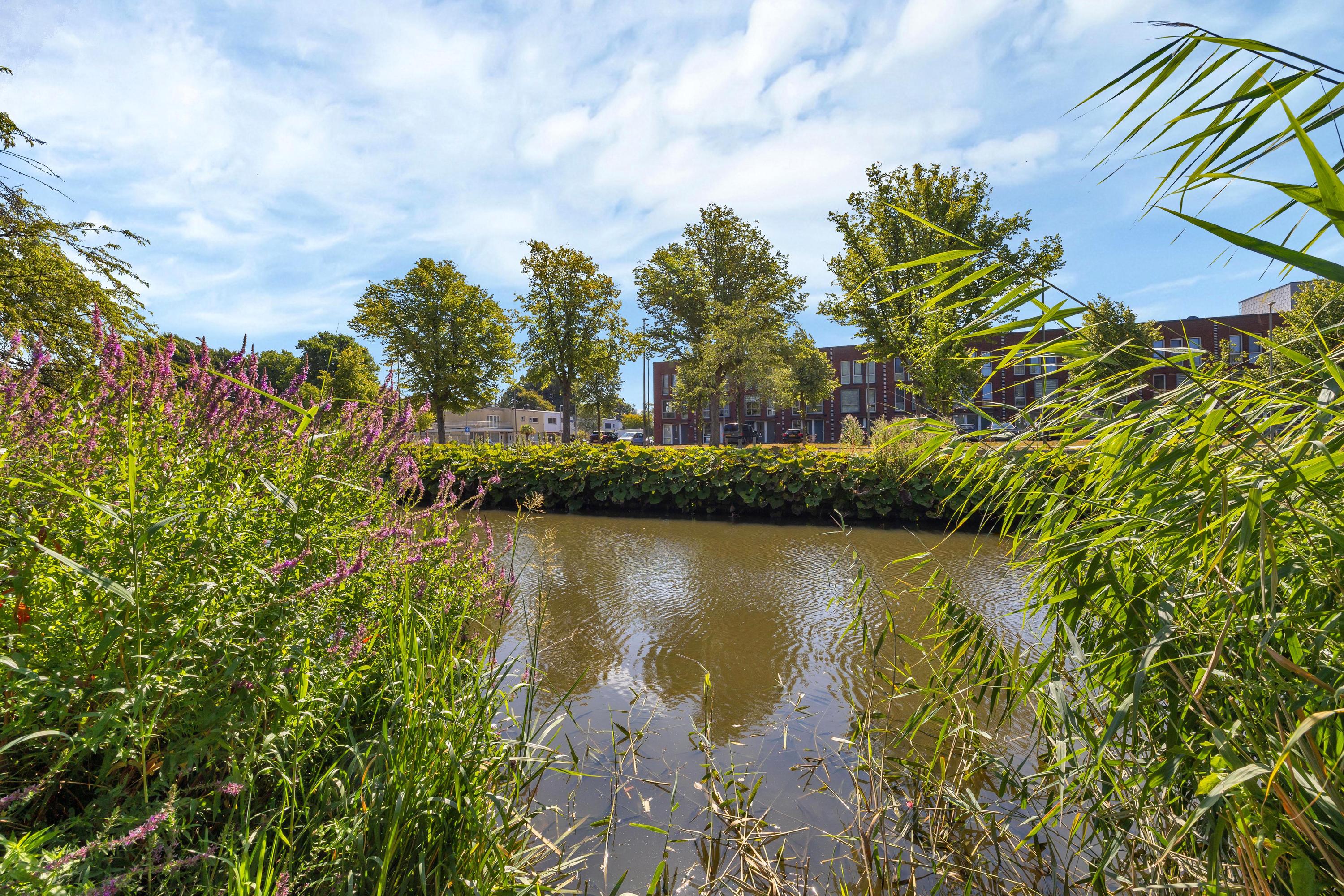 Twee-onder-één-kap te koop: Laan van Spieringshoek 9, Schiedam