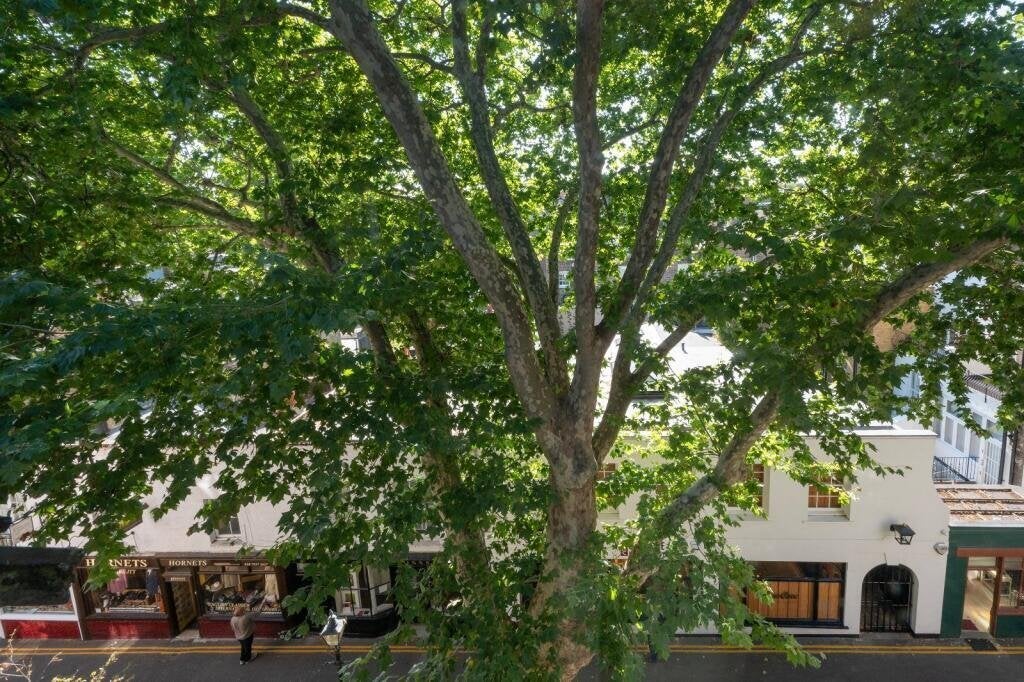 Flat Kensington Church Walk in Greater London