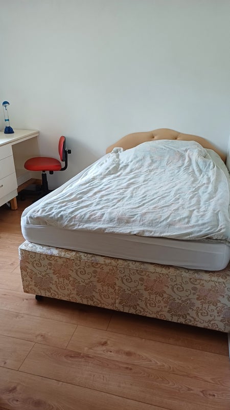 Room Speedwell Road in Ipswich