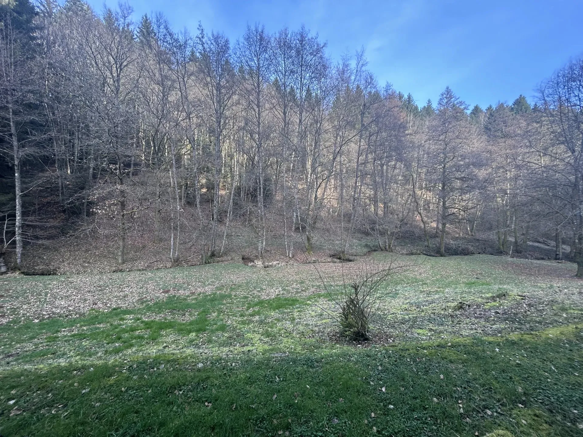 Appartement Sur la Limite de Frapelle à Le Beulay