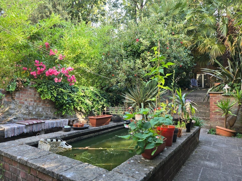Room Cadogan Terrace in Greater London