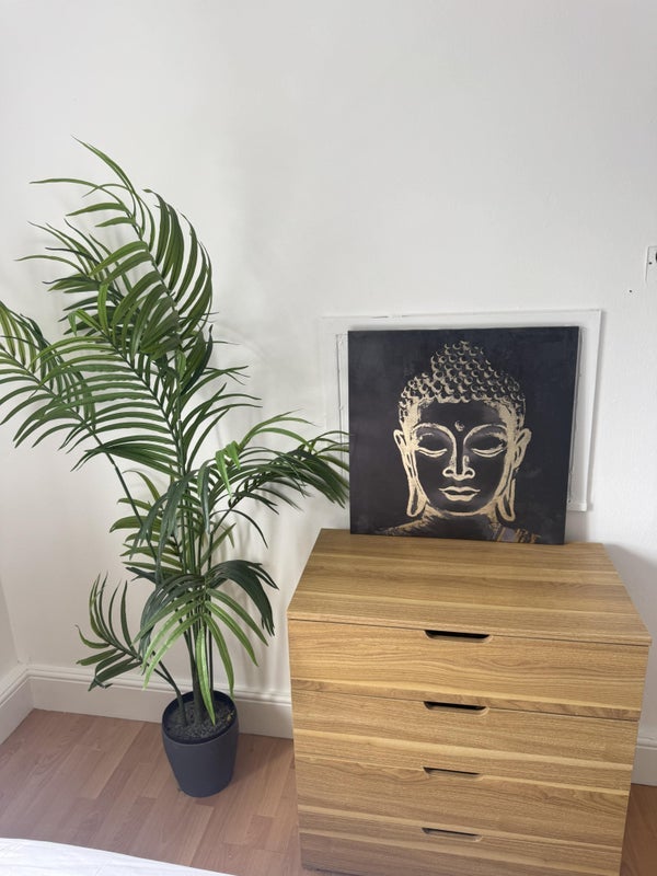 Room Potter Street in Harlow