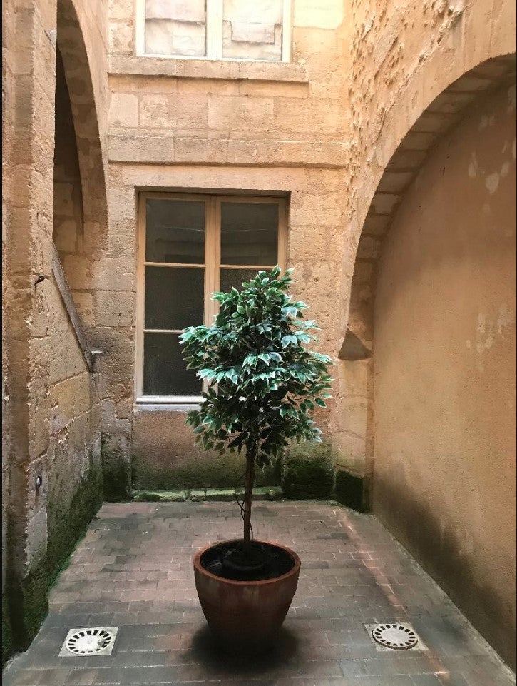 Appartement Rue des Treilles à Libourne