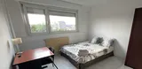 Flat Rue Contades in Schiltigheim