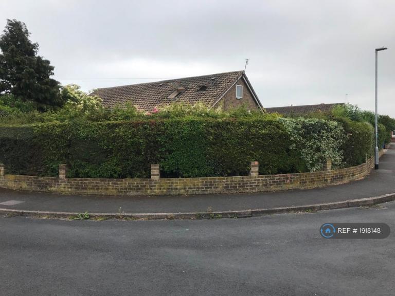 House Beech Close in Sproatley