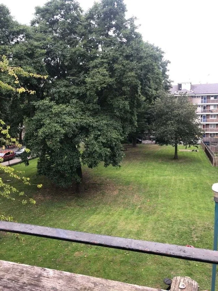 Room Carnegie Street in Greater London