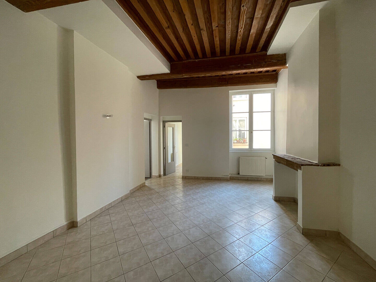 Flat Rue des Marronniers in Lyon