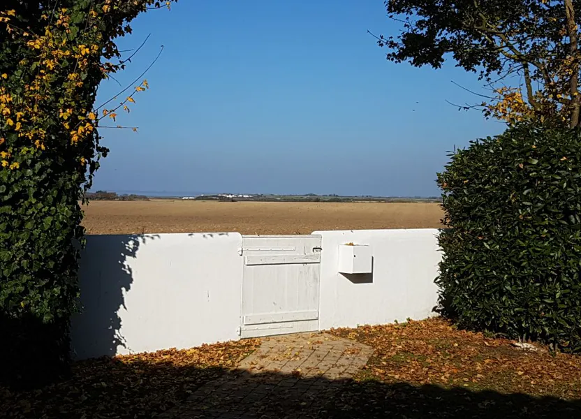 Maison Rue de la Cave à Marsilly