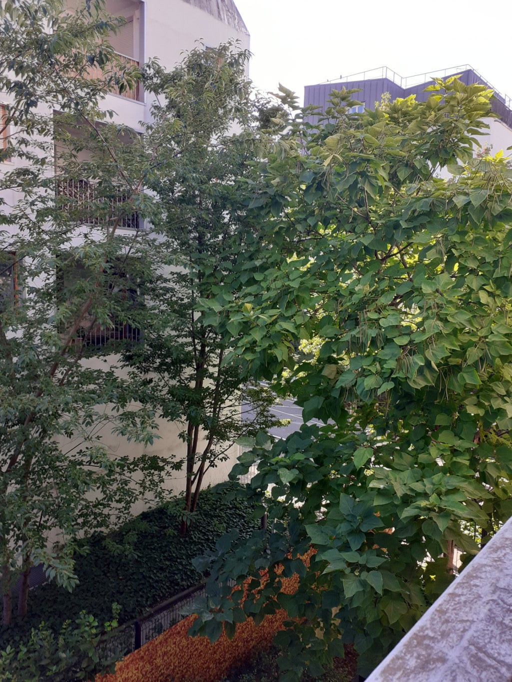 Appartement Rue de la Division Leclerc à Massy
