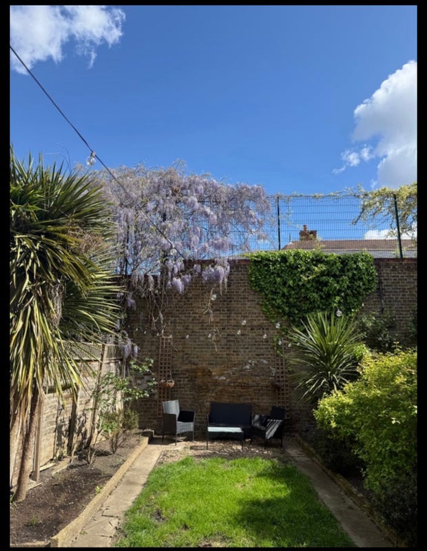 Room Franciscan Road in Greater London