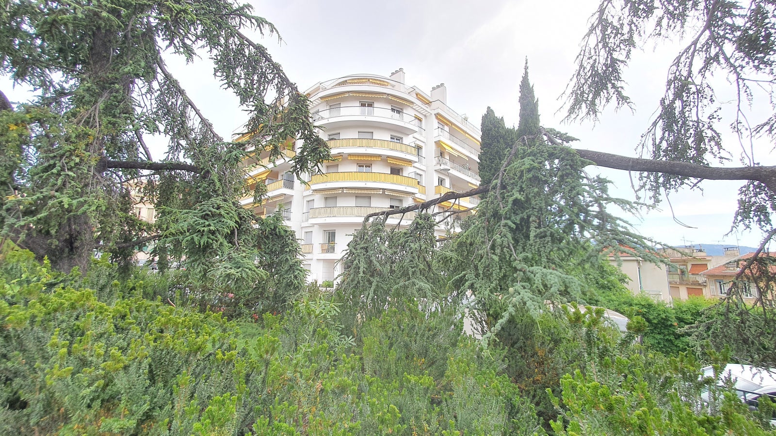 Room Avenue Stephen Liégeard in Nice