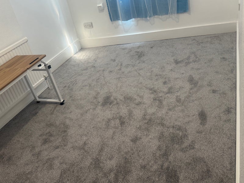 Room Dalmally Road in Greater London