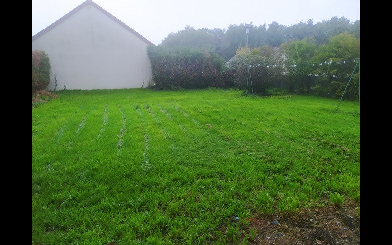 Maison Lotissement les Boutardières à Lureuil