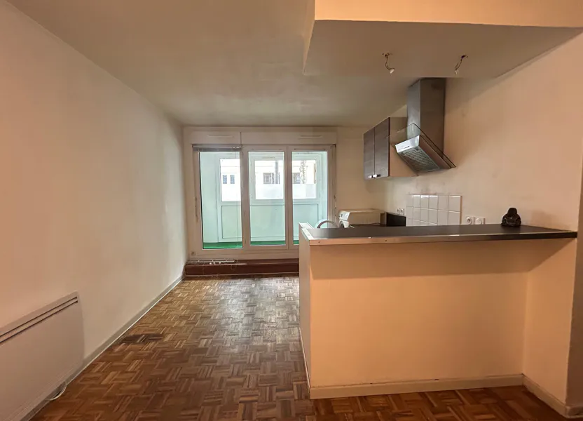 Flat Avenue Félix Faure in Lyon