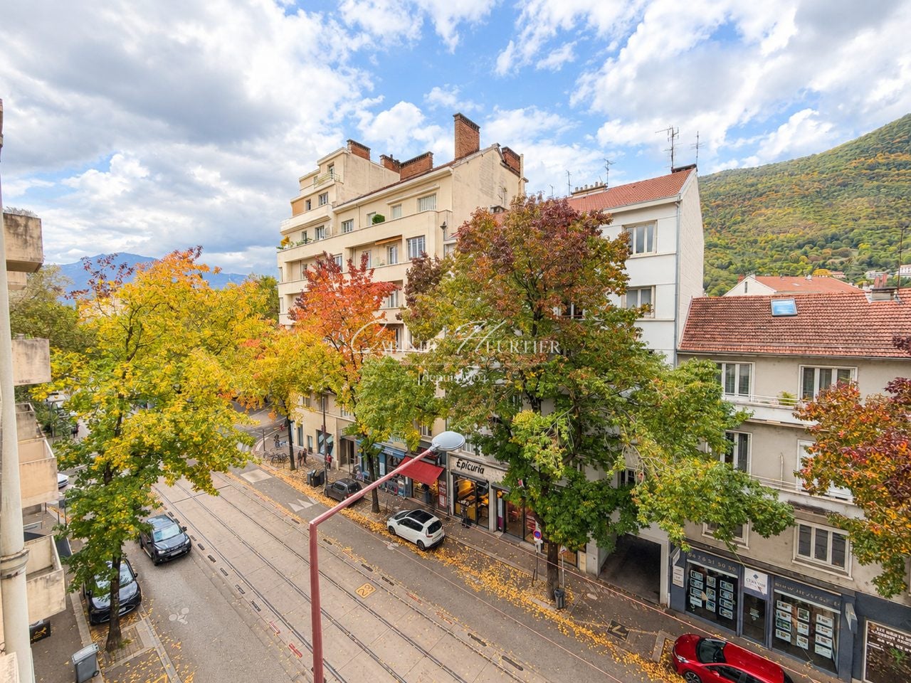 Flat Rue Blanche Monier in Grenoble