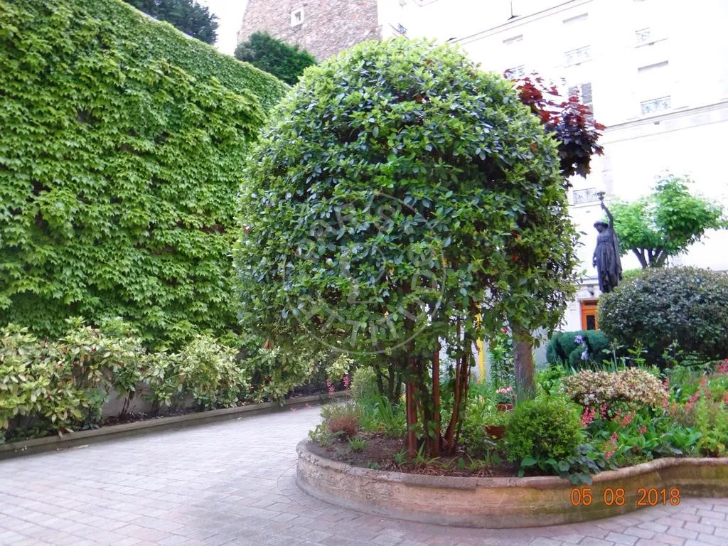Appartement Square de Chaillot à Paris