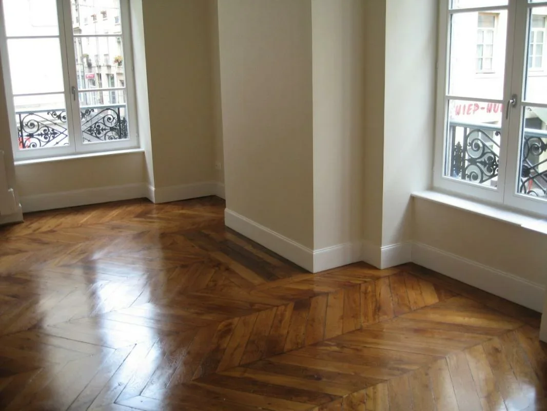 Flat Rue Passet in Lyon