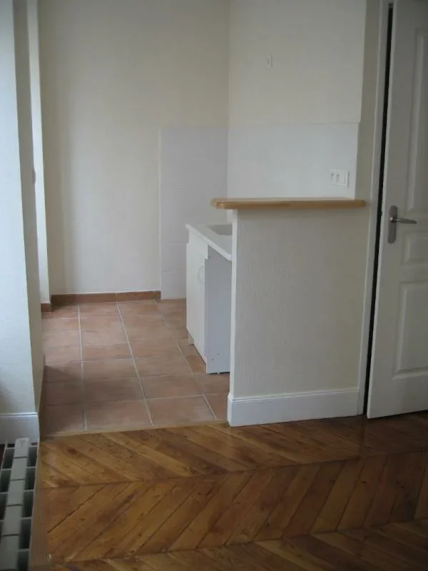Flat Rue Passet in Lyon