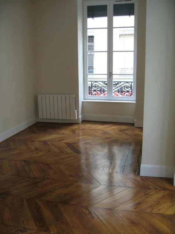 Flat Rue Passet in Lyon