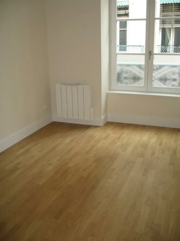 Flat Rue Passet in Lyon