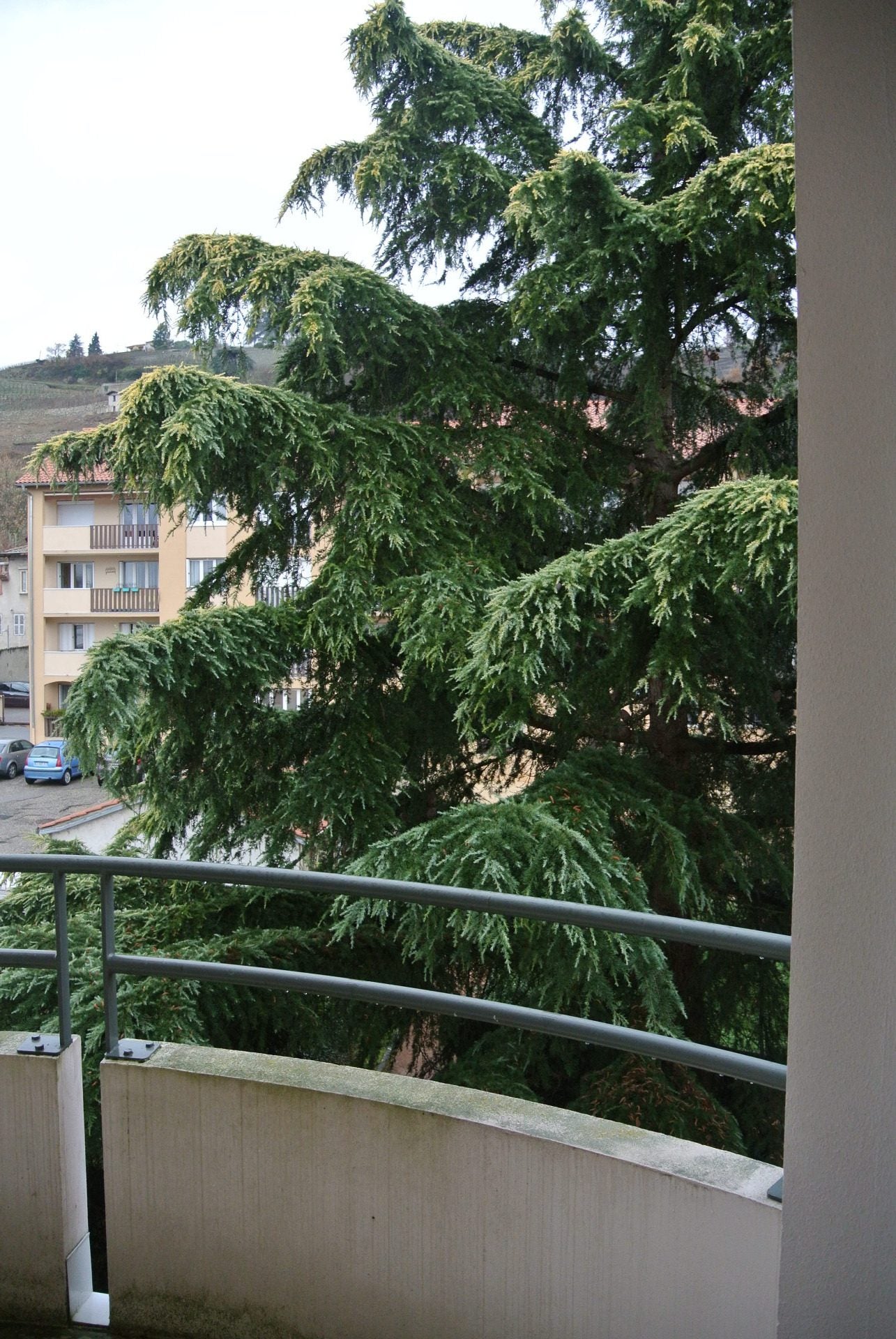 Flat Rue de la Pavie in Condrieu