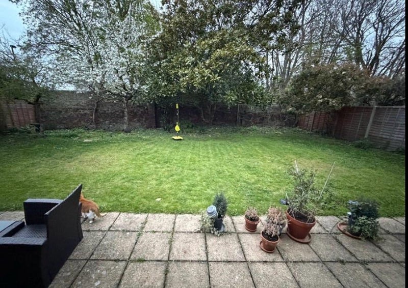 Room Macauley Mews in Greater London