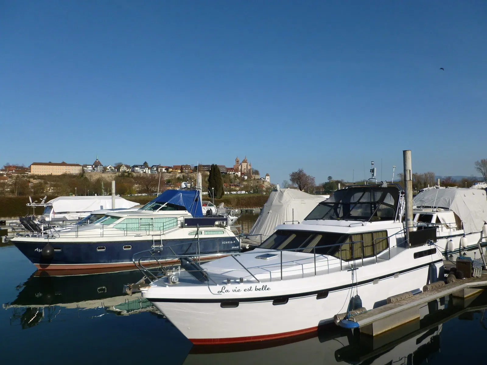 Room Route de l'Île du Rhin in Biesheim