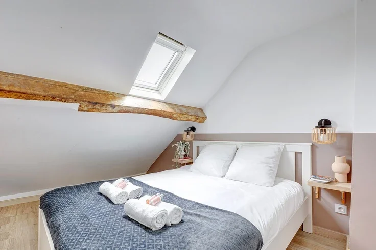 Flat Rue Buffon in Paris