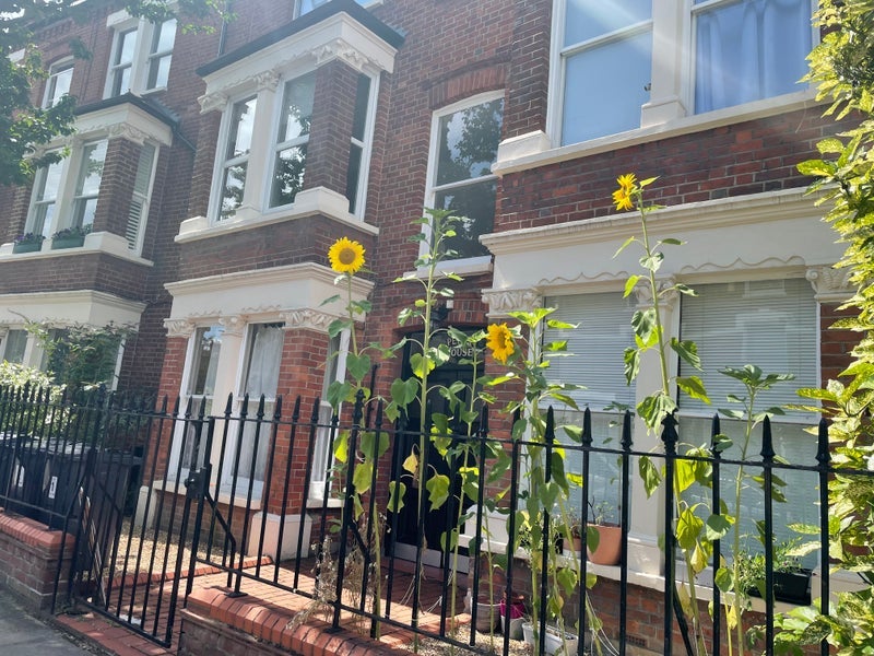 Room Sulgrave Road in Greater London