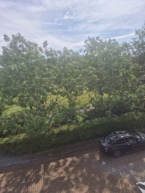 Room Brockwell Park Row in Greater London