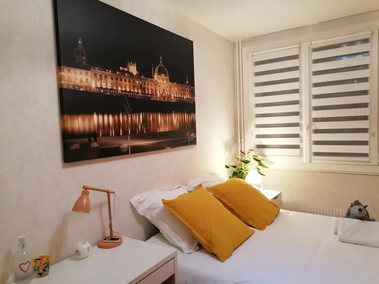 Chambre Rue de Fontanières à Villeurbanne