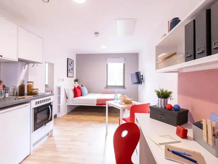 Flat Bailey Street in Sheffield