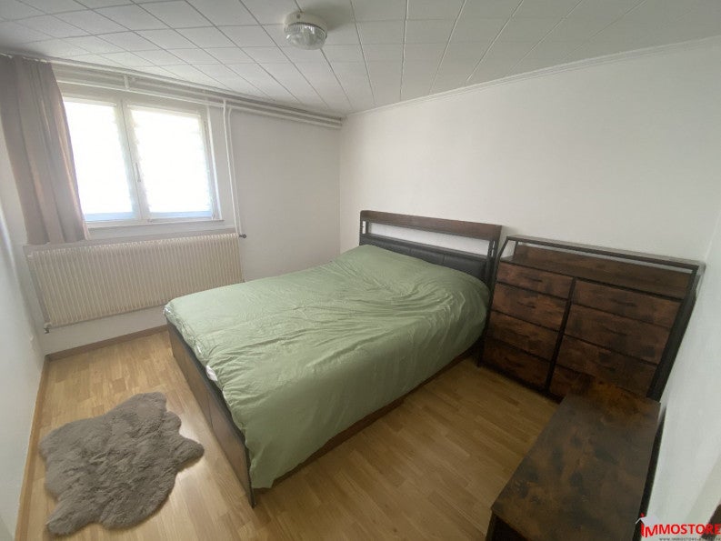Appartement Rue de Jettingen à Steinsoultz