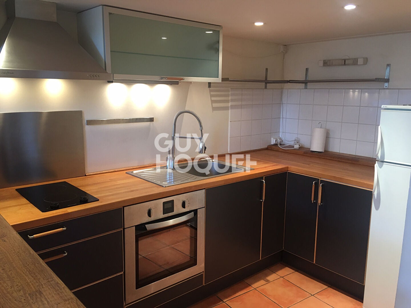 Appartement Rue Jacques-Louis Hénon à Lyon