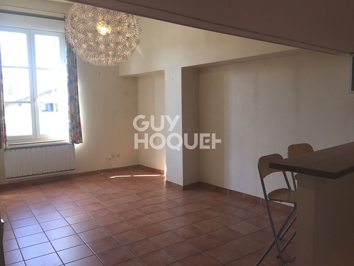 Appartement Rue Jacques-Louis Hénon à Lyon