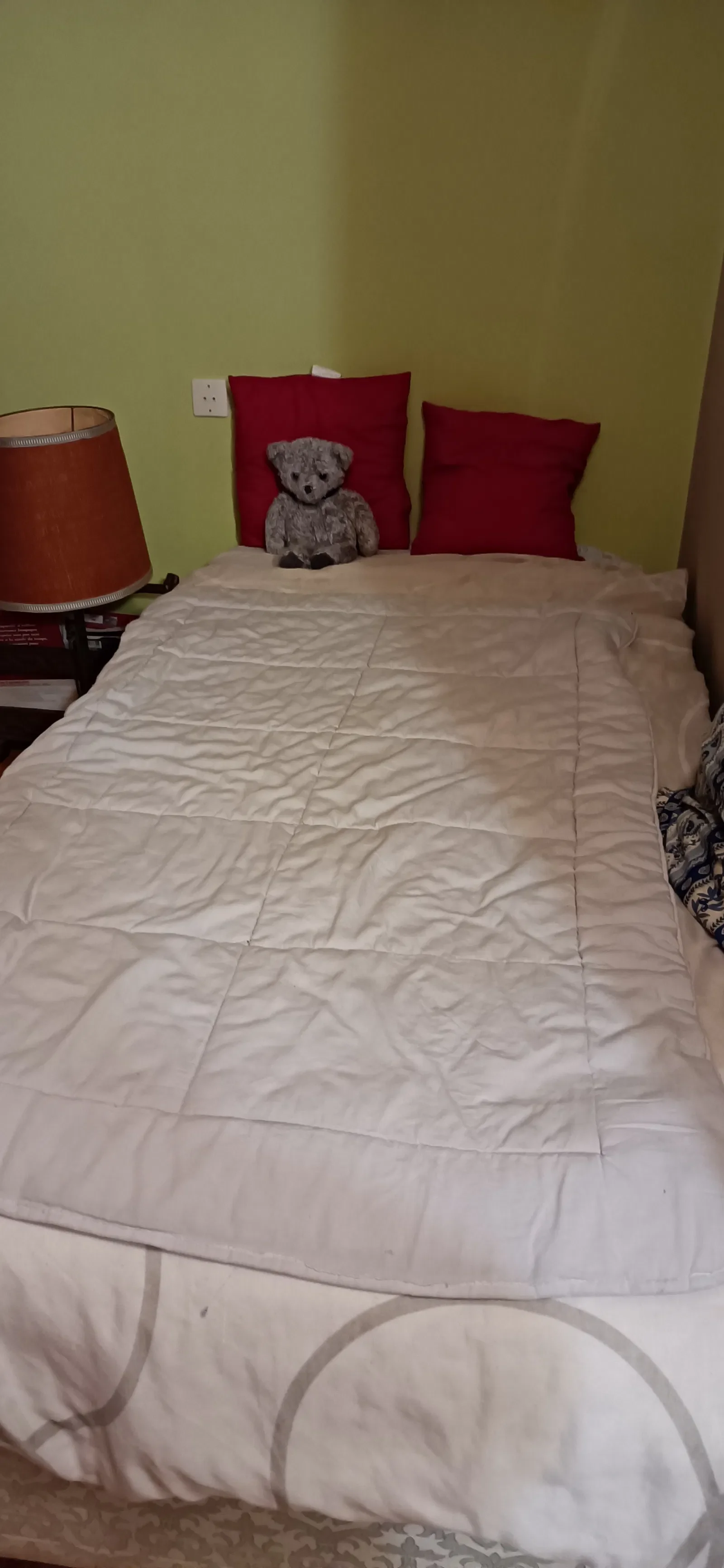 Room Rue Pelletier Simon in Chalon-sur-Saône