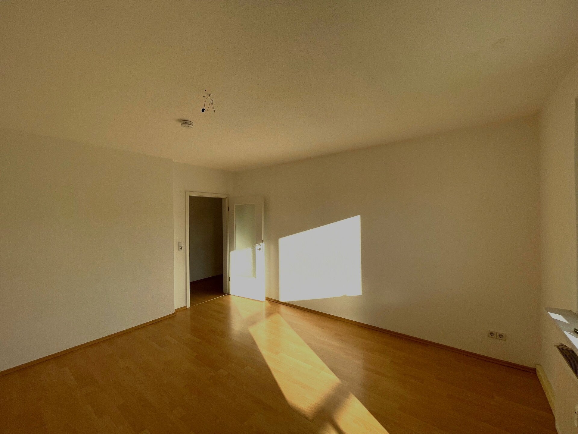 Wohnung Wilischstraße in Dresden